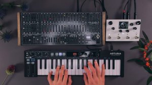 Black Corporation Deckard's Dream MK II Sound Demo (no talking) with Meris LVX Delay