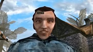 Отстаньте, Босмер! (Morrowind)