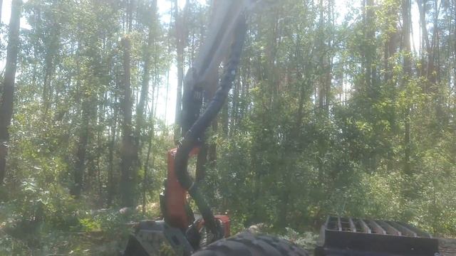 KOMATSU931xc  Новая делянка!!!