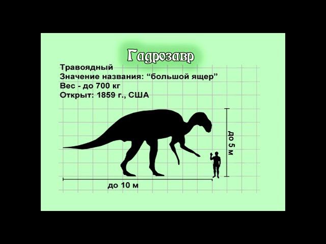 Занимательные уроки с "Лучиком света." Энциклопедия динозавров. Кто такой гадрозавр?