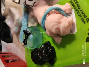 сквиш сабаки