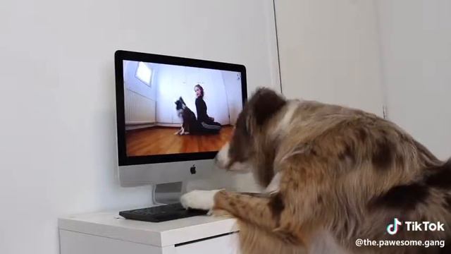 Помогает , is hellping смотреть онлайн