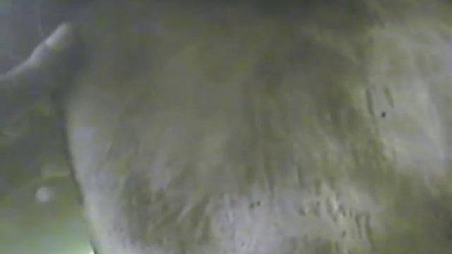 ООО "Группа Конквест" - Водолазное дело [Обзор предприятия] смотреть онлайн