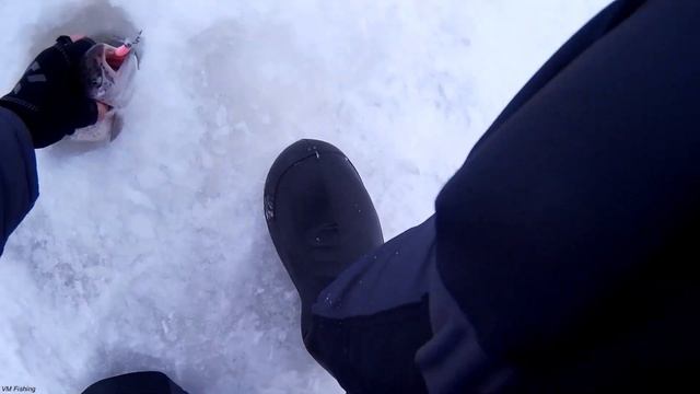 Ловля ФОРЕЛИ СО ЛЬДА на резину Ловля на платном пруду УДАЧА РЫБАКА! смотреть онлайн