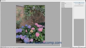 Photoshop Elements 2021 Tutorial Filters & the Filter Gallery Adobe Training