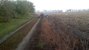 Покатухи на мотоблоке Мотор Сич