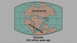 History of the World, Part 1 l Evolution of the Earth l History of Life Timeline