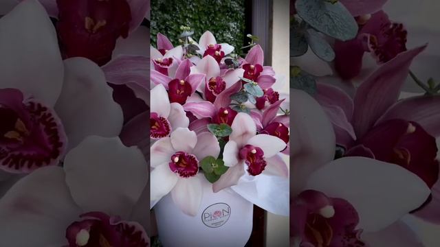 Цветы Краснодар хутор Ленина PiON Flowers Studio, заказ по телефону 89385225252 @pionfs