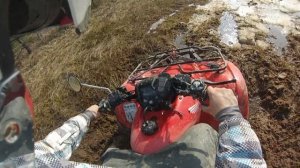 По ковровому болоту ка квадроцикле