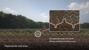 Роторный копатель Farmax