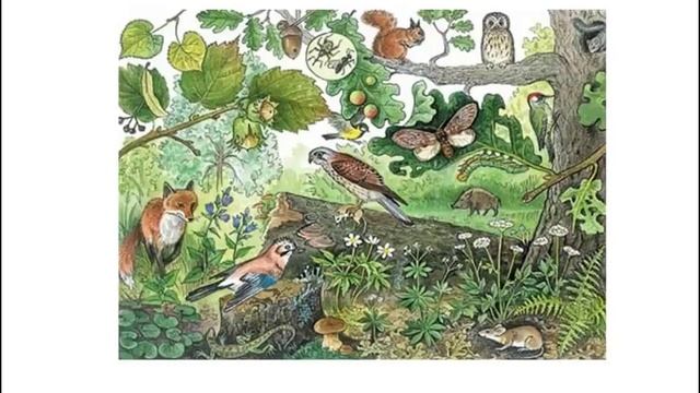 Экосистема и биоценоз смотреть онлайн