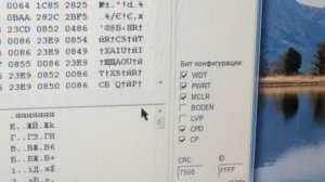 Простая прошивка PIC16F648A без проблем с пераого раза...