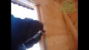 Вставка ройки - СК Бобёр