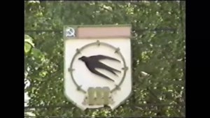 Пенза-1994 год.