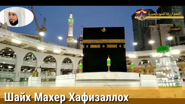 ШАЙХ МАХЕР ХАФИЗАЛЛОХ МАСЖИД АЛ-ХАРАМ ИМОМ ВА ХАТИБИ смотреть онлайн