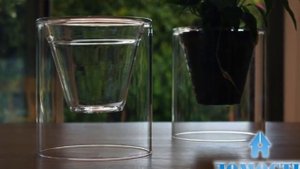 ОРХИДЕЯ В ЗАКРЫТОЙ СИСТЕМЕ  1 ЧАСТЬ   ОРХИДЕЯ В ВАЗЕ  БЕЗ ДРЕНАЖНЫХ ОТВЕРСТИЙ  #oldenburgru