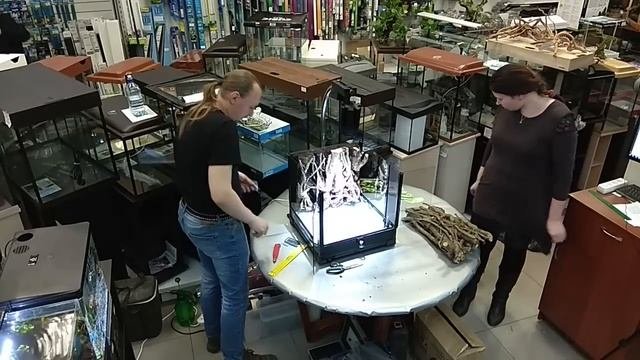 Мастер-класс по оформлению террариума с живыми растениями в магазине Exomenu.