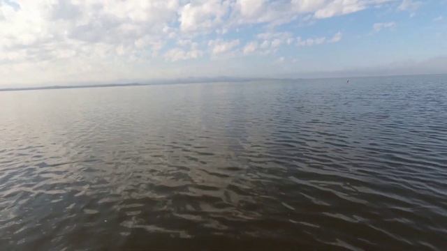 ЛОВЛЯ САРГАНА. БЮДЖЕТНАЯ СНАСТЬ НА САРГАНА. САРГАН ГОРЯЧЕГО КОПЧЕНИЯ.   #жекарыболов #ловлясаргана