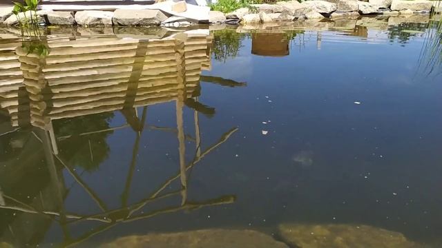 Пруд в огороде(мосток для купания) смотреть онлайн