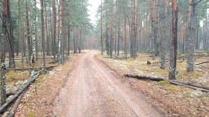Походные берцы Сравниваем Прабос Преппер и Фарадеи 443