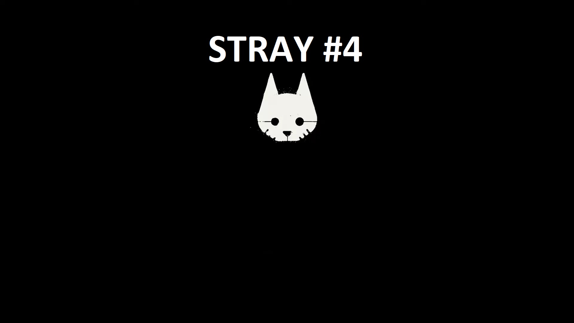 STRAY #4