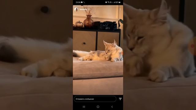 Сторис Ксюши Бородиной от 12.05.2021 смотреть онлайн