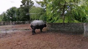 Куда пойти погулять в Варшаве, Блогер за 21 день