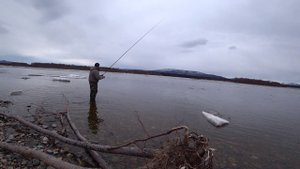 ОЛА ГАДЛЯ ГУЛЯЕМ ПО ЛЕСУ. РЫБАЛКА НА РЕКЕ ОЛА. ЛЕС В ОЛЬСКОМ ЛИМАНЕ.
