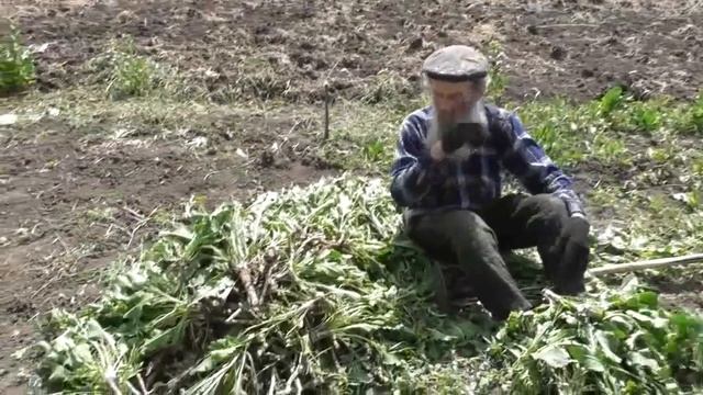 Добыча хрена и положение Потеряевки. 08. 06. 2018 смотреть онлайн