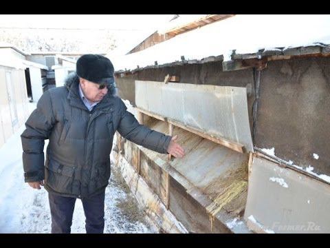 Содержание кроликов зимой на кроликоферме Николая Шаталова
