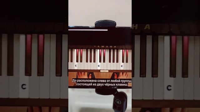 🎀Урок номер 2.Обучение нот на музыкальном тренажёре.Нота ДО🎹 #shortvideos #promotion