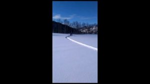 Видео покупателя мотобуксировщика СТЕМ Север (Южно-Сахалинск) ч.1