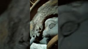 звон в заднем барабане Ваз 21099