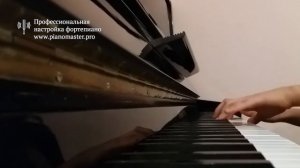 Звучание пианино Беларусь • Настройка пианино в Киеве и области
