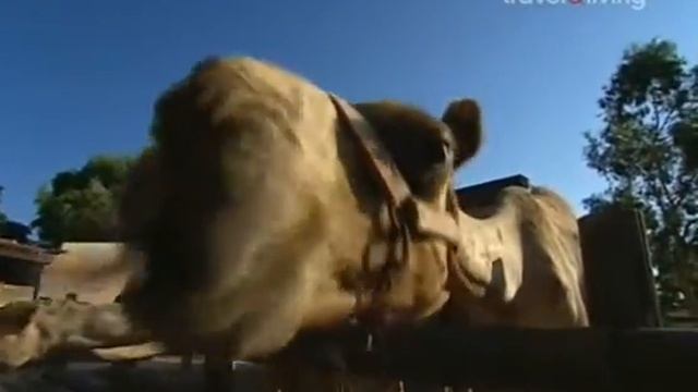 Моя Греческая кухня 1 - 6