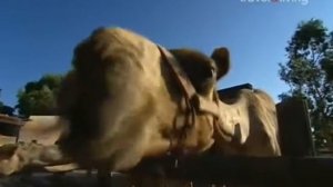 Моя Греческая кухня 1 - 6