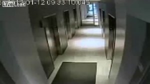 Хозяин забыл собаку на поводке по другую сторону лифта