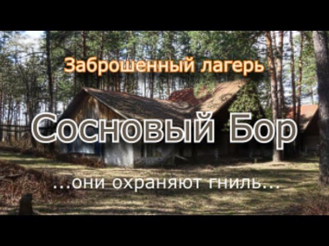 Заброшенный лагерь Сосновый Бор