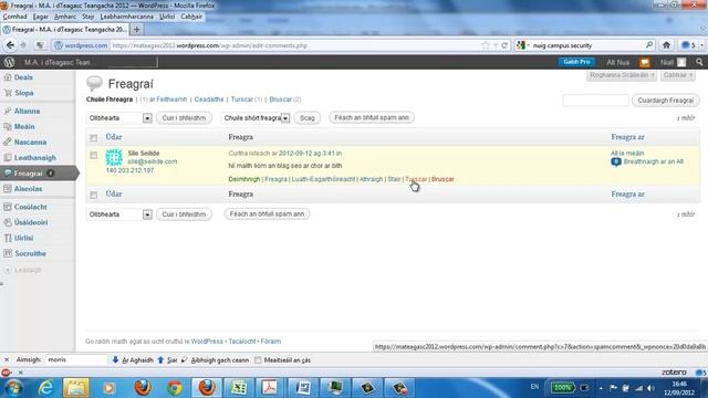 Blagail le Wordpress 6 - Ag láimhseáil freagraí смотреть онлайн