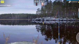 как ловить сазана для миссий или фарма My Fishing World