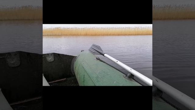 РЫБАЛКА НА ЧУДСКОМ ОЗЕРЕ 2020. ПЛОТВА В РАСКОПЕЛИ. РЫБАЛКА ВО ВРЕМЯ СНЕГА ЧЕЛЛЕНДЖ. смотреть онлайн