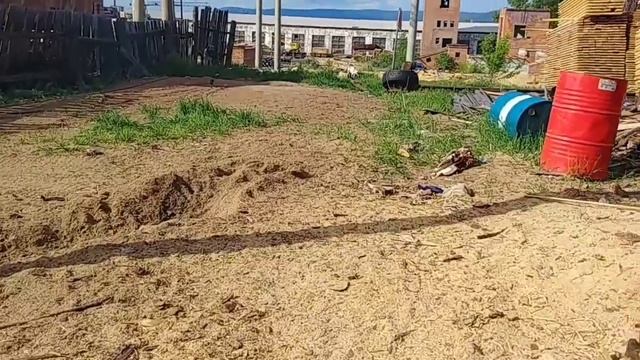 Козел и козы у нас на работе смотреть онлайн