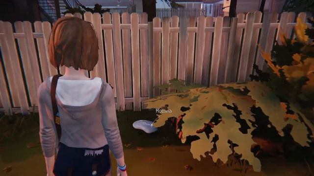 Life Is Strange # 3 ➤ Прохождение