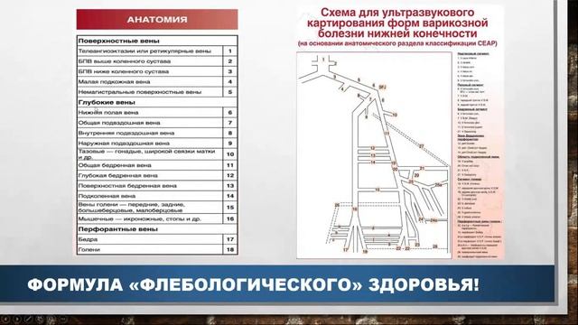 Лекция №4. Хронические заболевания вен. Почему образуются варикозные вены?