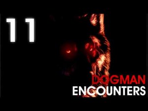 11 SCARY WEREWOLF ENCOUNTERS (Werewolfs, Dogman, Rougaroo) - What Lurks Beneath