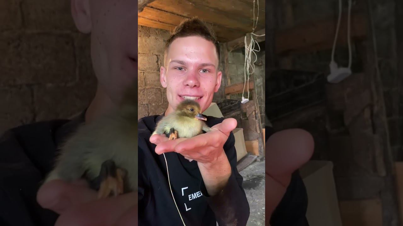 Деревенская Санта-Барбара смотреть онлайн