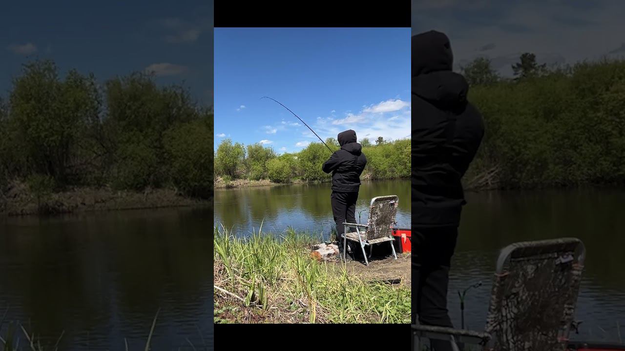 Рыбалка на малой реке. #рыбалка #фидер #рыбалка2024 #весенняярыбалка #fishing #река