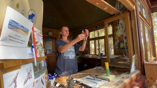 #орнитология #куршкаякоса #россия #август2024