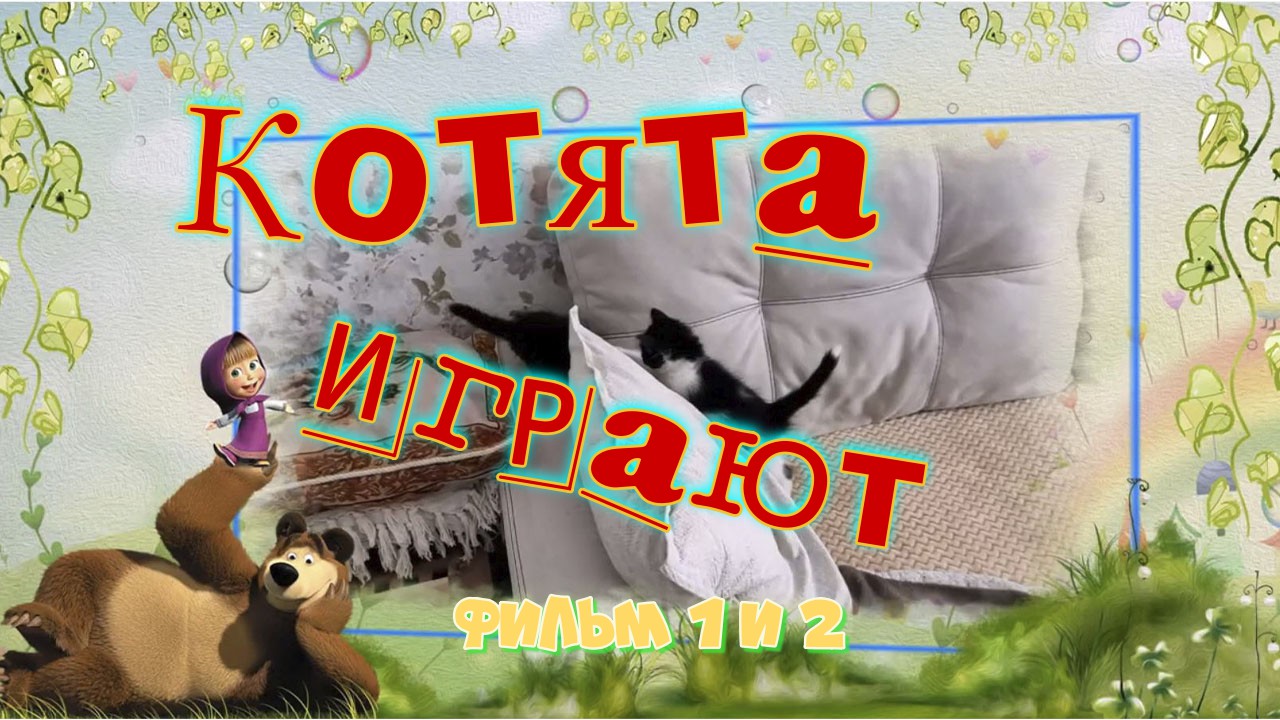 Котята играют 1 и 2.mp4