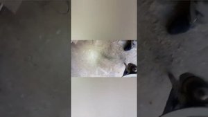 одна из причин шорканья в задних колесах автомобилей ВАЗ